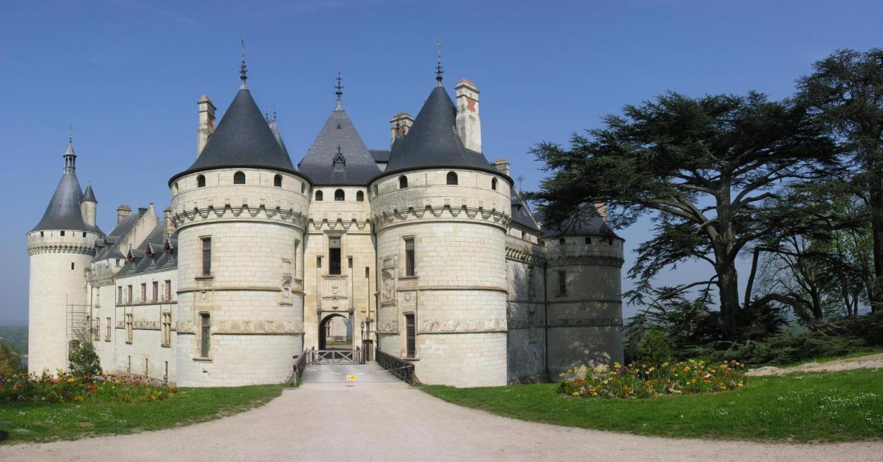 Les Gites De L'Argenterie A 15Km Du Zoo De Beauval Classes 4 Etoiles Fontguenand Exterior photo